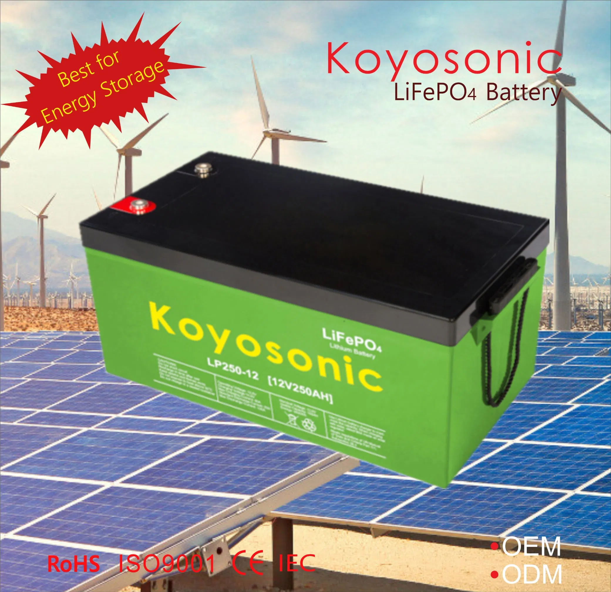 حلول بطاريات ليثيوم مخصصة بسعة عالية 24V 25.6V 120ah