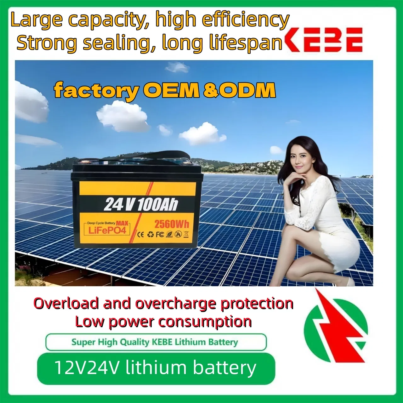OEM 5 سنوات ضمان دورة عميقة 6000 مرات 12V 24V 48V 50ah 100ah 200ah 400ah LiFePO4 بطاريات قابلة لإعادة الشحن للطاقة الشمسية/UPS/الاتصالات بطاريات ليثيوم