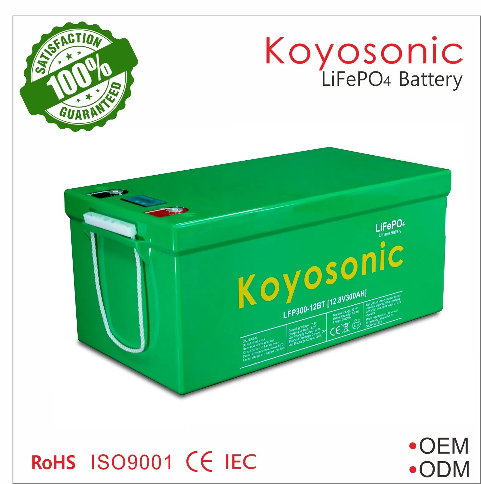 LiFePO4 بطارية 12V 50ah 100ah 200ah 300ah بطارية دورة عميقة 12.8V شمسية 24V 48V بطارية ليثيوم أيون مع نظام إدارة البطارية لسيارة كامبر شمسية / بطارية RV