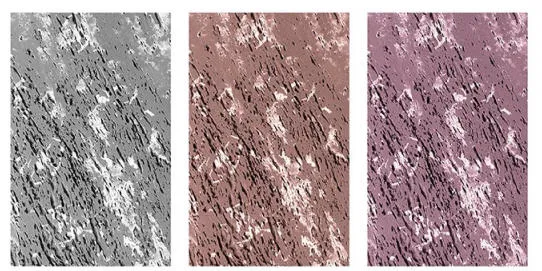 Contemporary Wall Materials