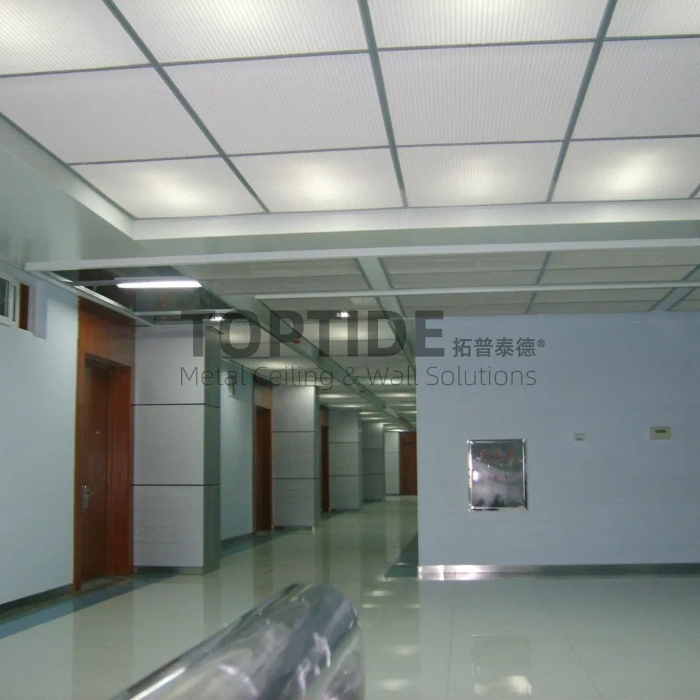Decorative Building Wall Ceiling Aluminum Cladding Panel T Bar Ceiling System