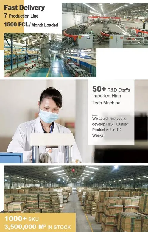 Our Advantages Infographic