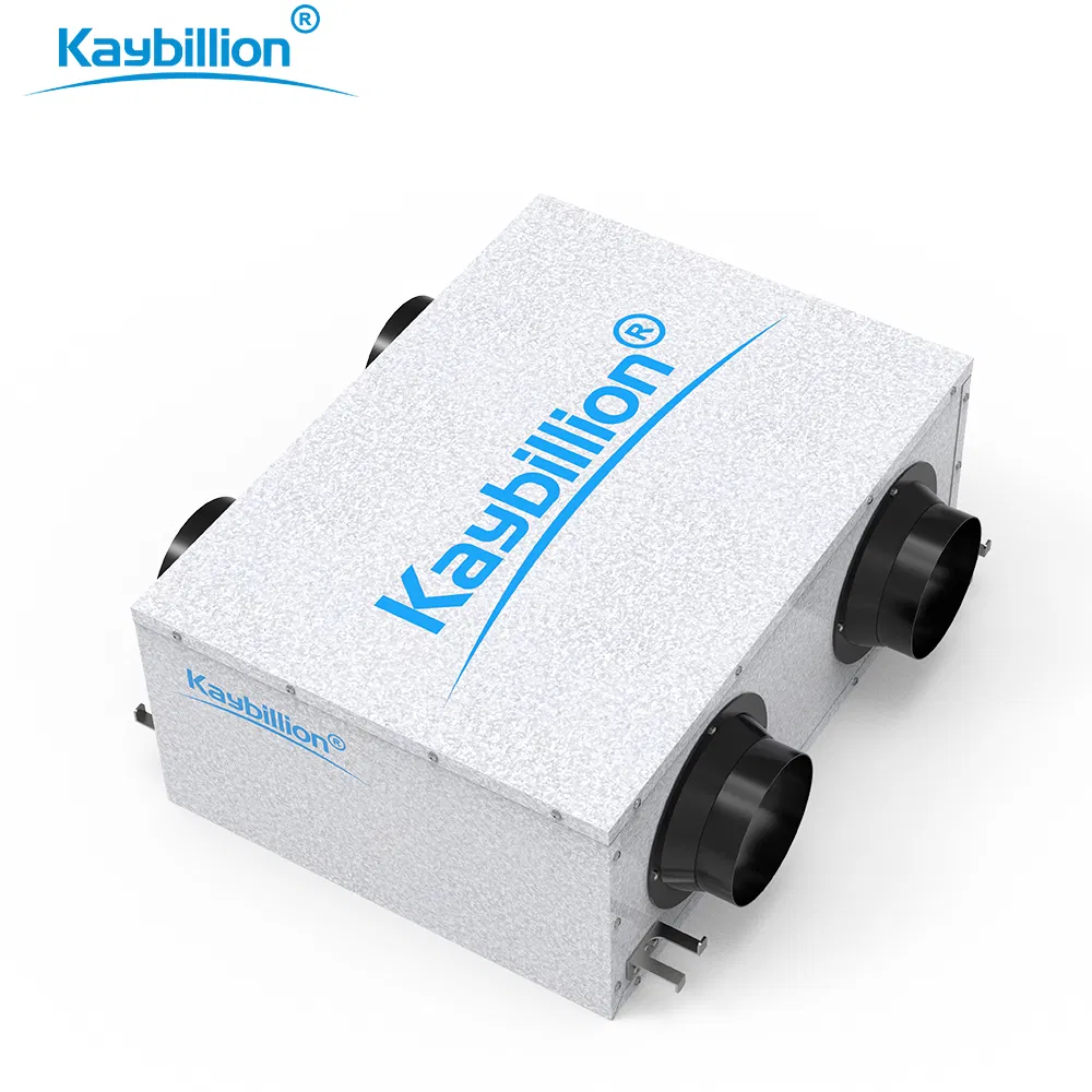 Villa Ceiling-Mounted Air Ventilation System That Can Purify The Air