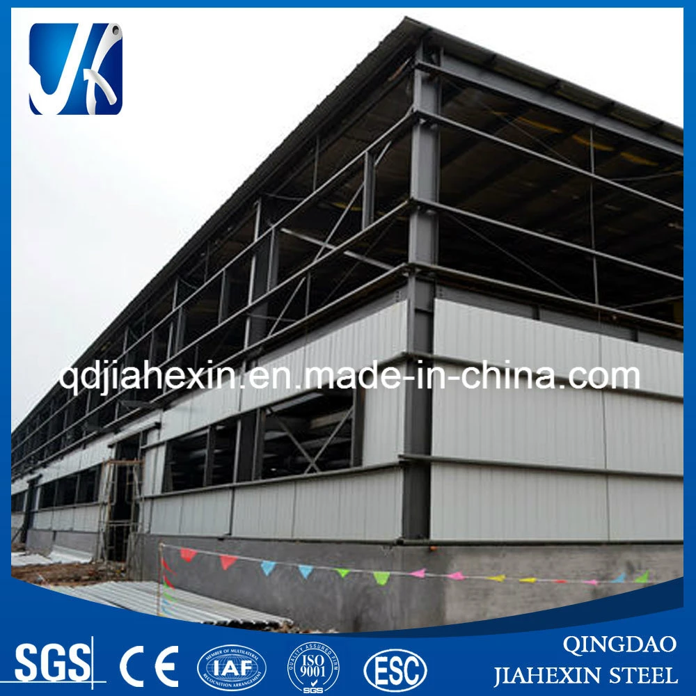 Space Steel Structural Steel Frame Workshop/Warehouse Parts, Building Materials