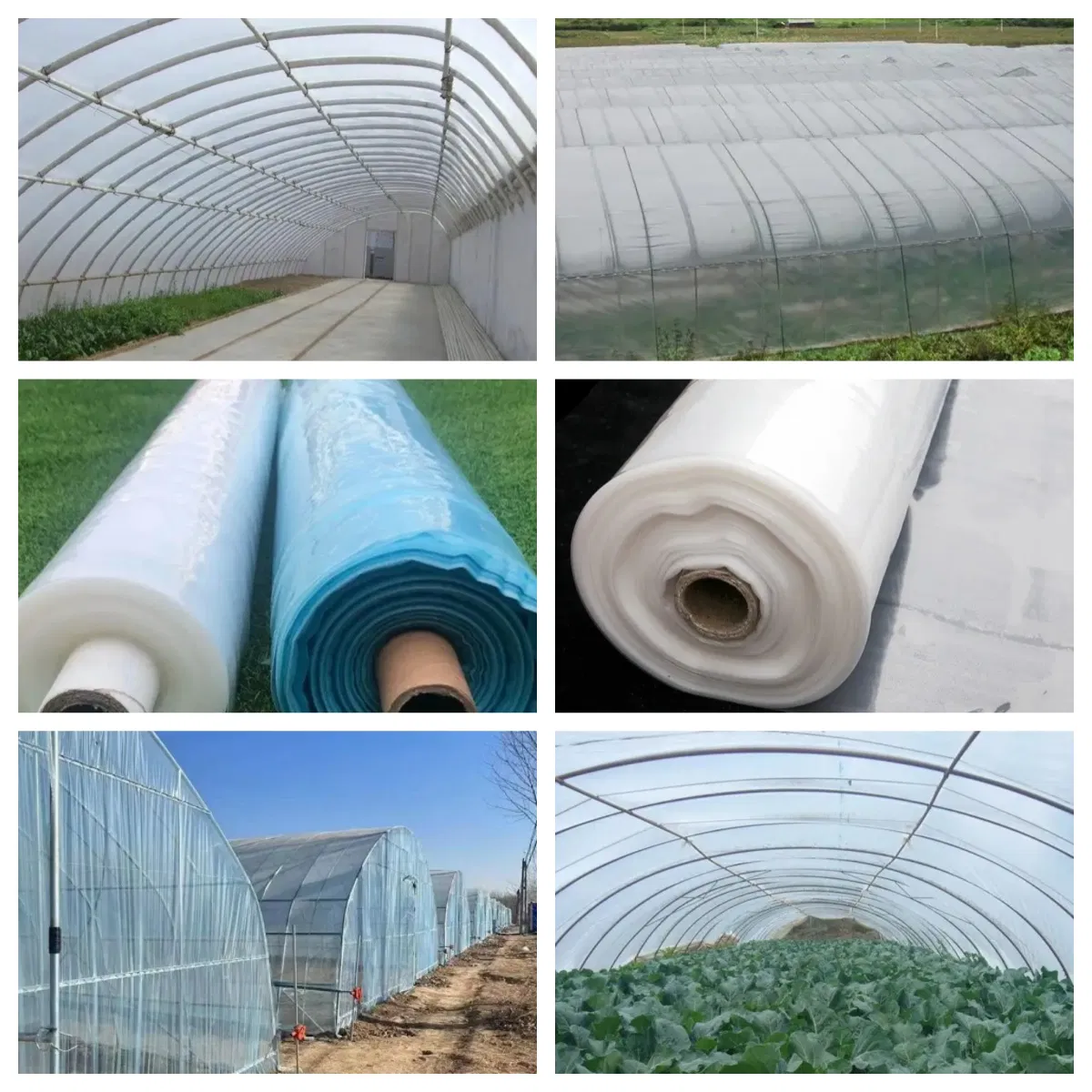 Greenhouse Application