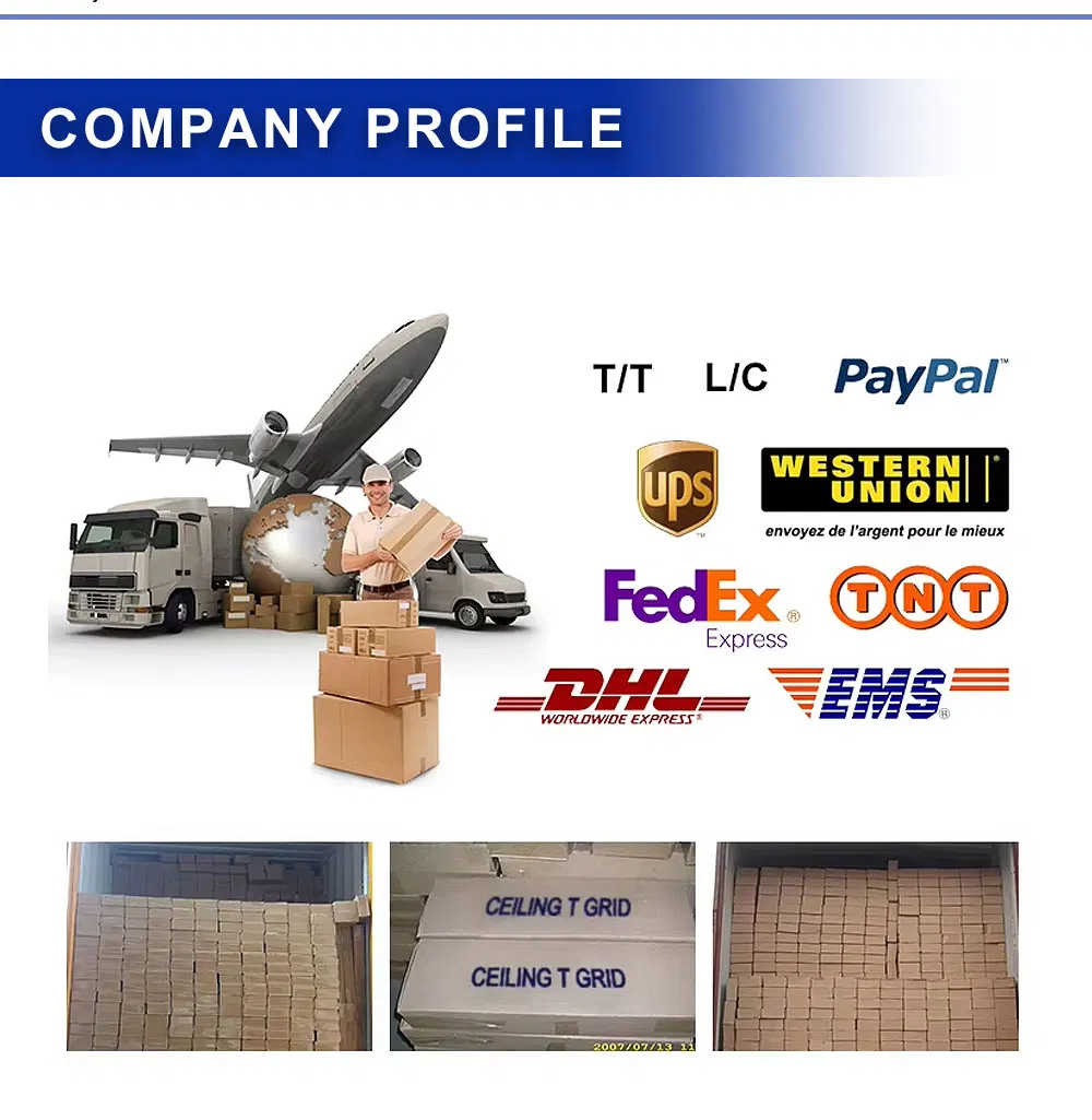 T-Bar System Detail 6