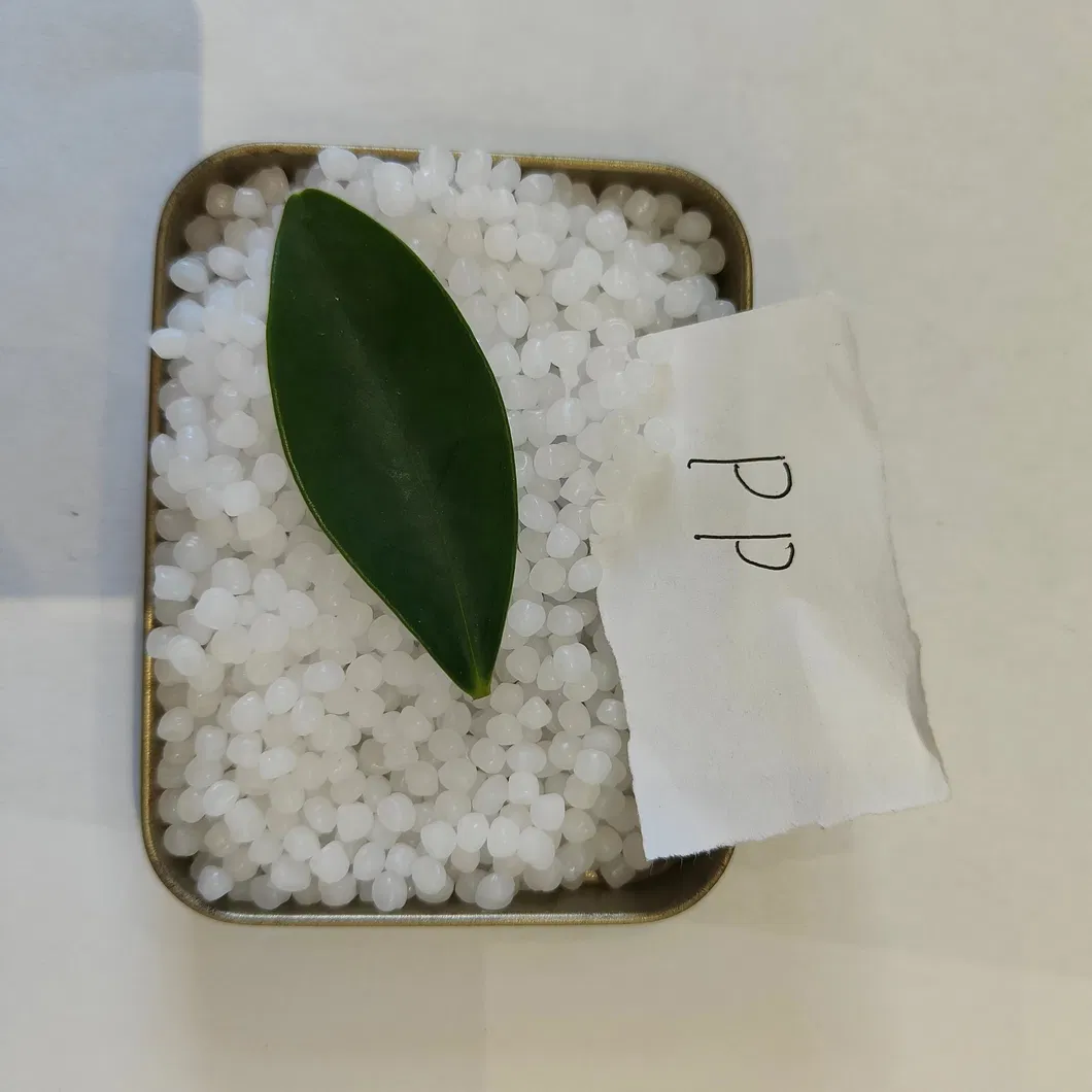 Polypropylene Granules 6