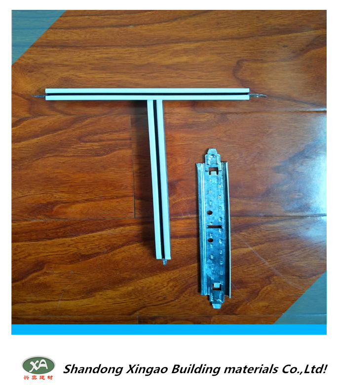 The Skeletal System of The Ceiling-Tgrid / Bar.