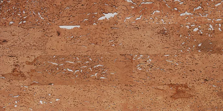 Cork Building Material 1