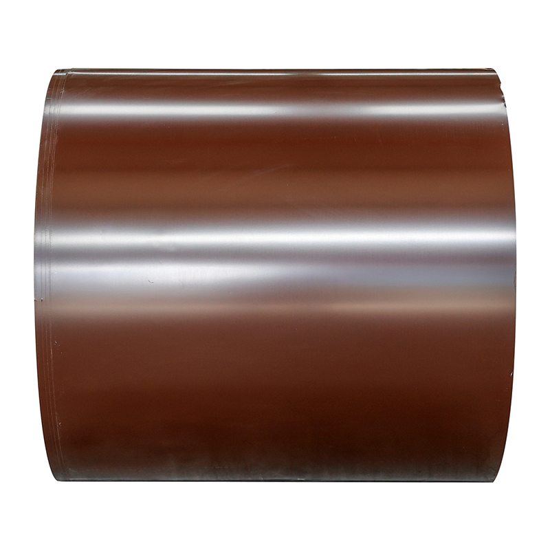 PPGI Metal Coil Used as Building Material with Professional Export Packing