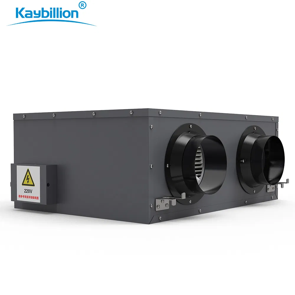 Villa Ceiling-Mounted Air Ventilation System That Can Purify The Air