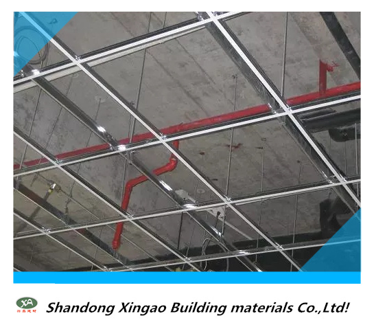 The Skeletal System of The Ceiling-Tgrid / Bar.