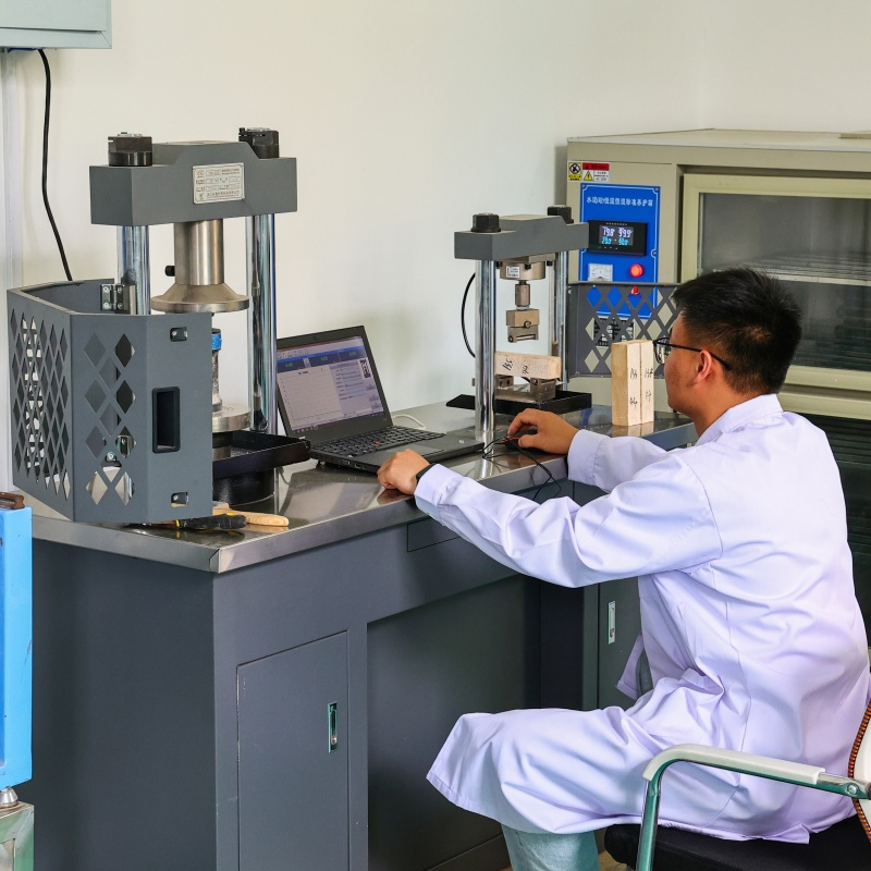 Wt255p Waterproof Crystalline Mix for Low Permeability Concrete &amp; Mortar