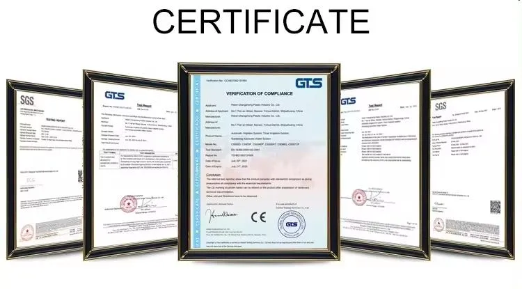 Certificate Display