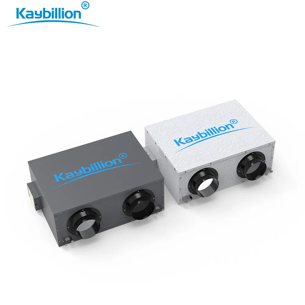 Villa Ceiling-Mounted Air Ventilation System That Can Purify The Air