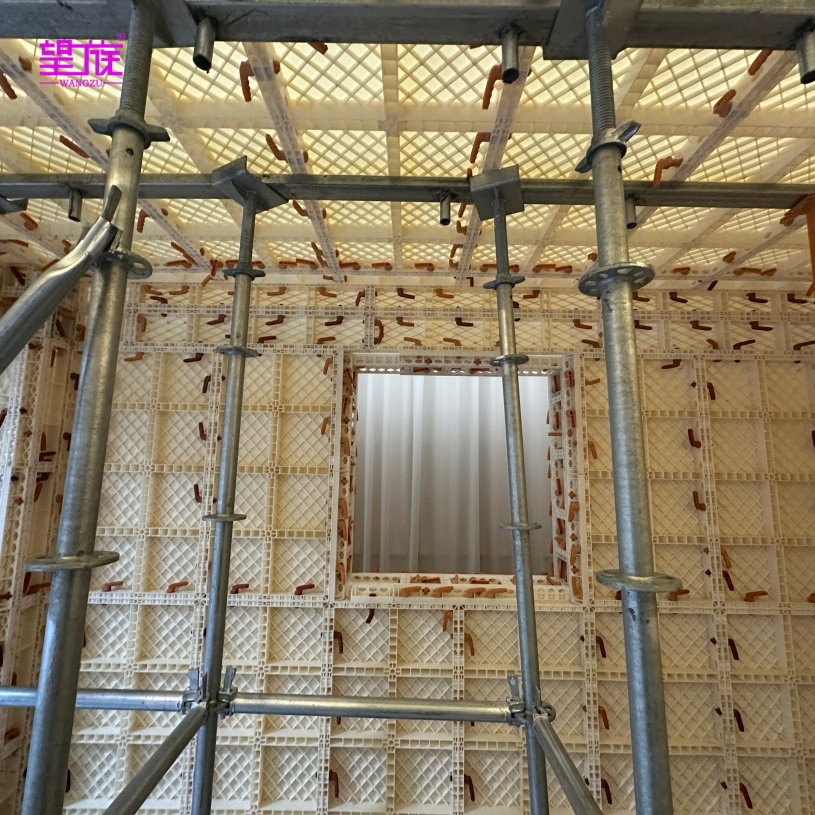 Custom Size Plastic Formwork for Bridge &amp; Tunnel Construction, High Load-Bearing Template