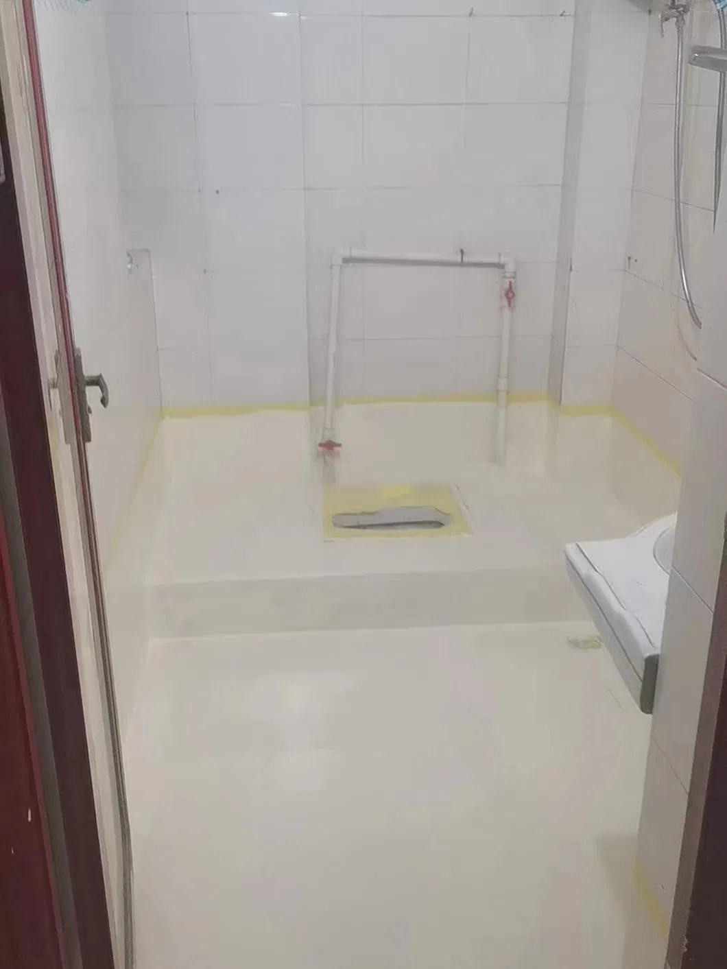 Kitchen Tile Painting