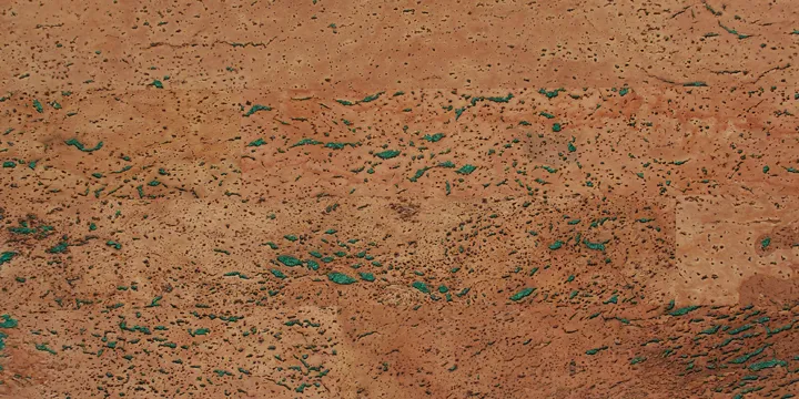 Cork Building Material 4