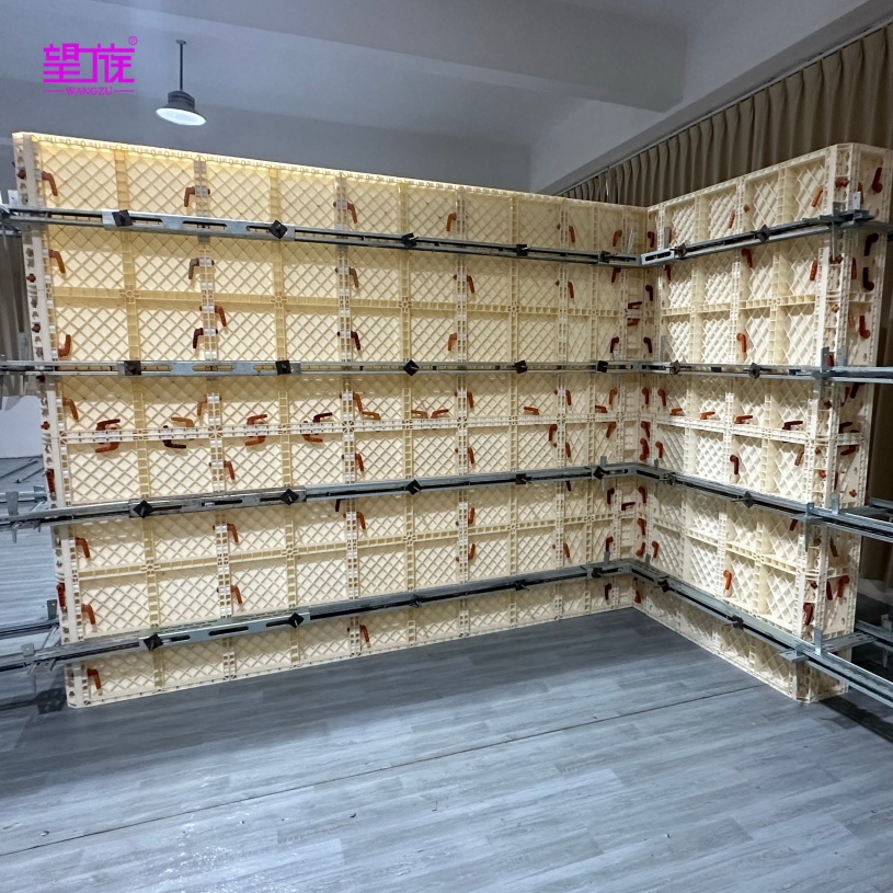 Custom Size Plastic Formwork for Bridge &amp; Tunnel Construction, High Load-Bearing Template