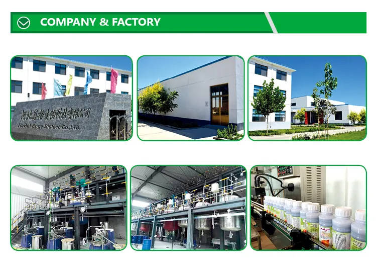 Pesticide Material 1