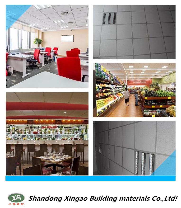 The Skeletal System of The Ceiling-Tgrid / Bar.