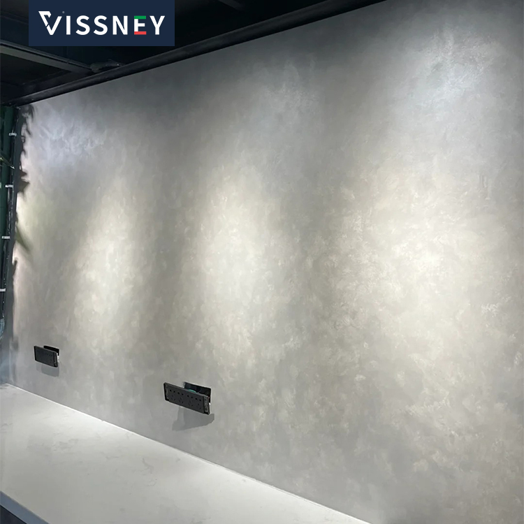 Premium Vissney Concrete Finish for Elegant Interior Designs