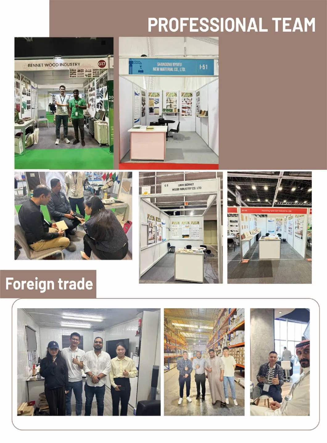 Professional Team and Projects