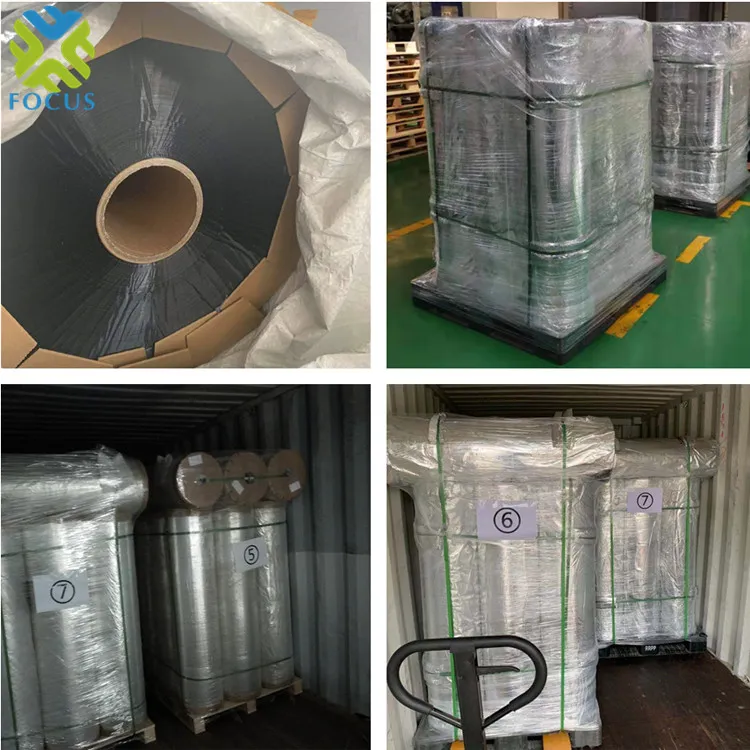 Metallized PET Film 8
