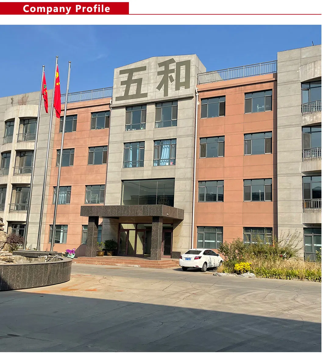 Resistance to Sulfate Corrosion High Ductility Concrete