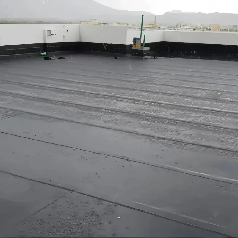 Waterproof Membrane Detail