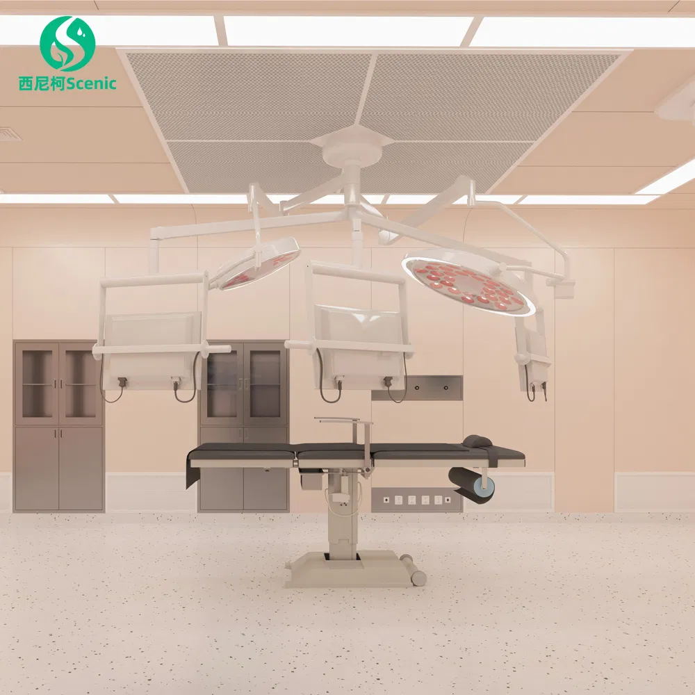 Customizable ISO Wall Panels for Modular Lab Solutions