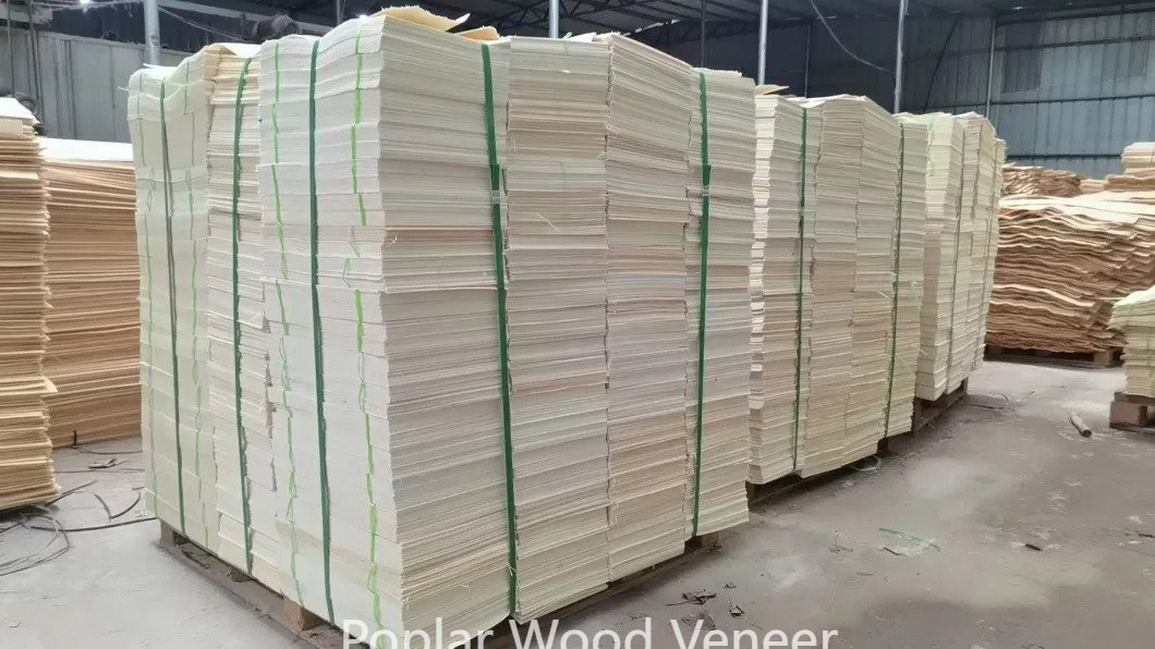 Plywood 0.8-3.0mm Wood Flooring Poplar Veneer Decoration Material