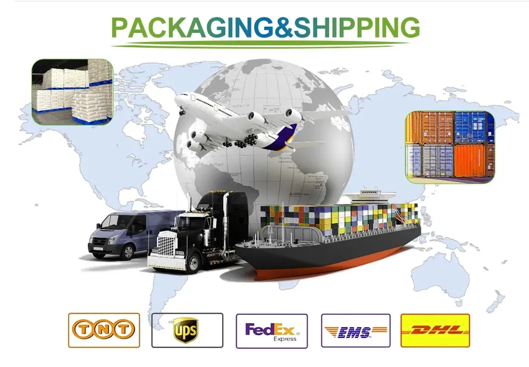 Shipping Logistics