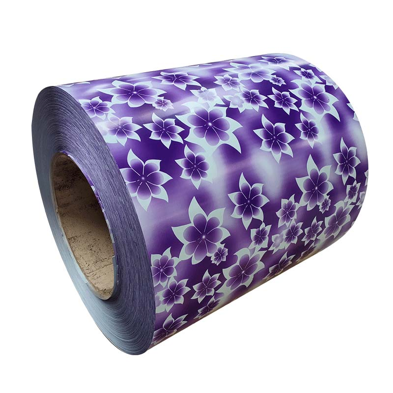 PPGI Coil/Color Coated Steel Coil/Metal Roofing Sheets Building Materials