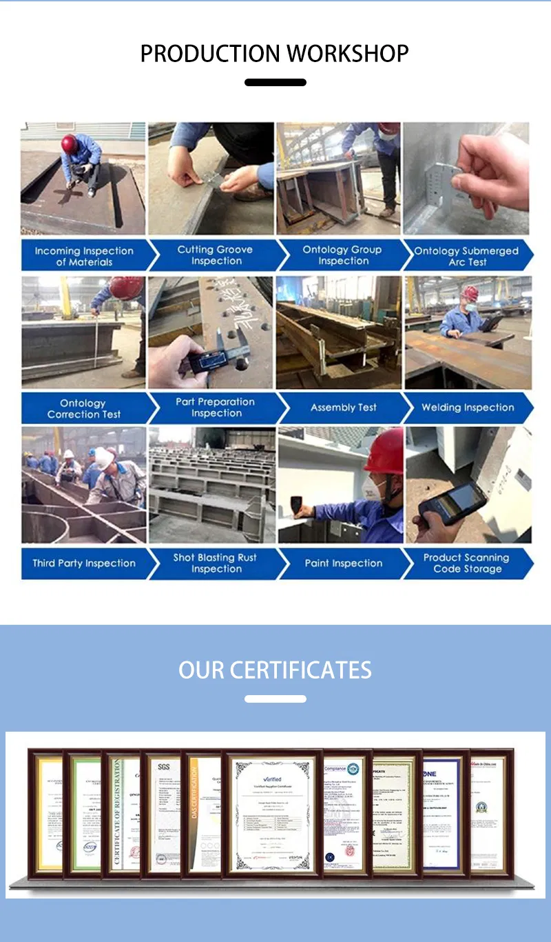 Project Case Display