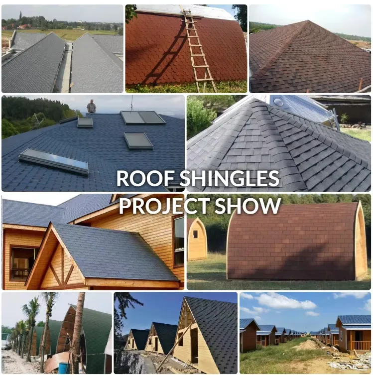 Aesthetic Roofing Application