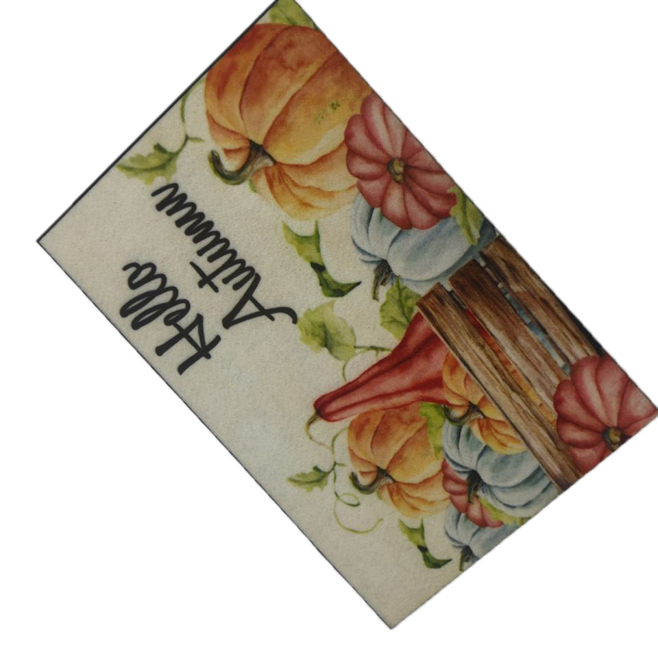 Anti-Slip 60X90cm New Pattern Printed Doormats for Indoor Outdoor Entrance