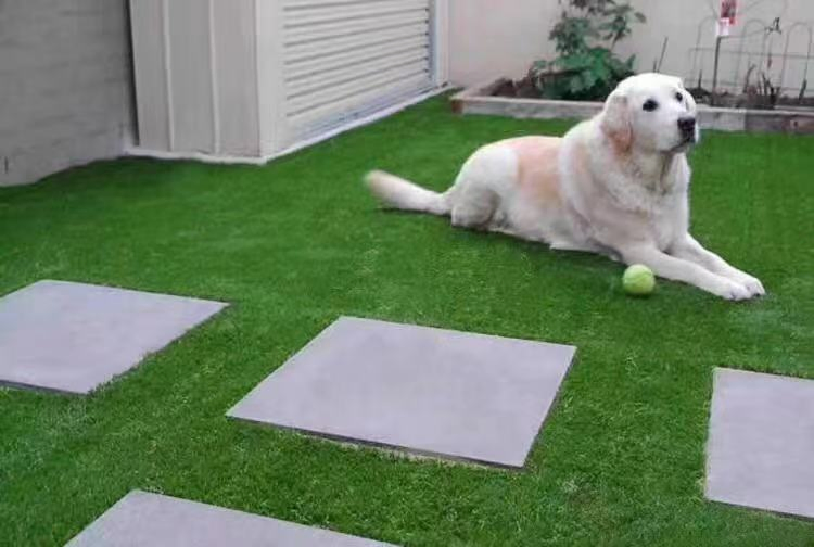 Outdoor Artificial Grass Artificial Turf Is Suitable for Sports Field Synthetic Turf / Playground / Decorative Garden Fake Grass