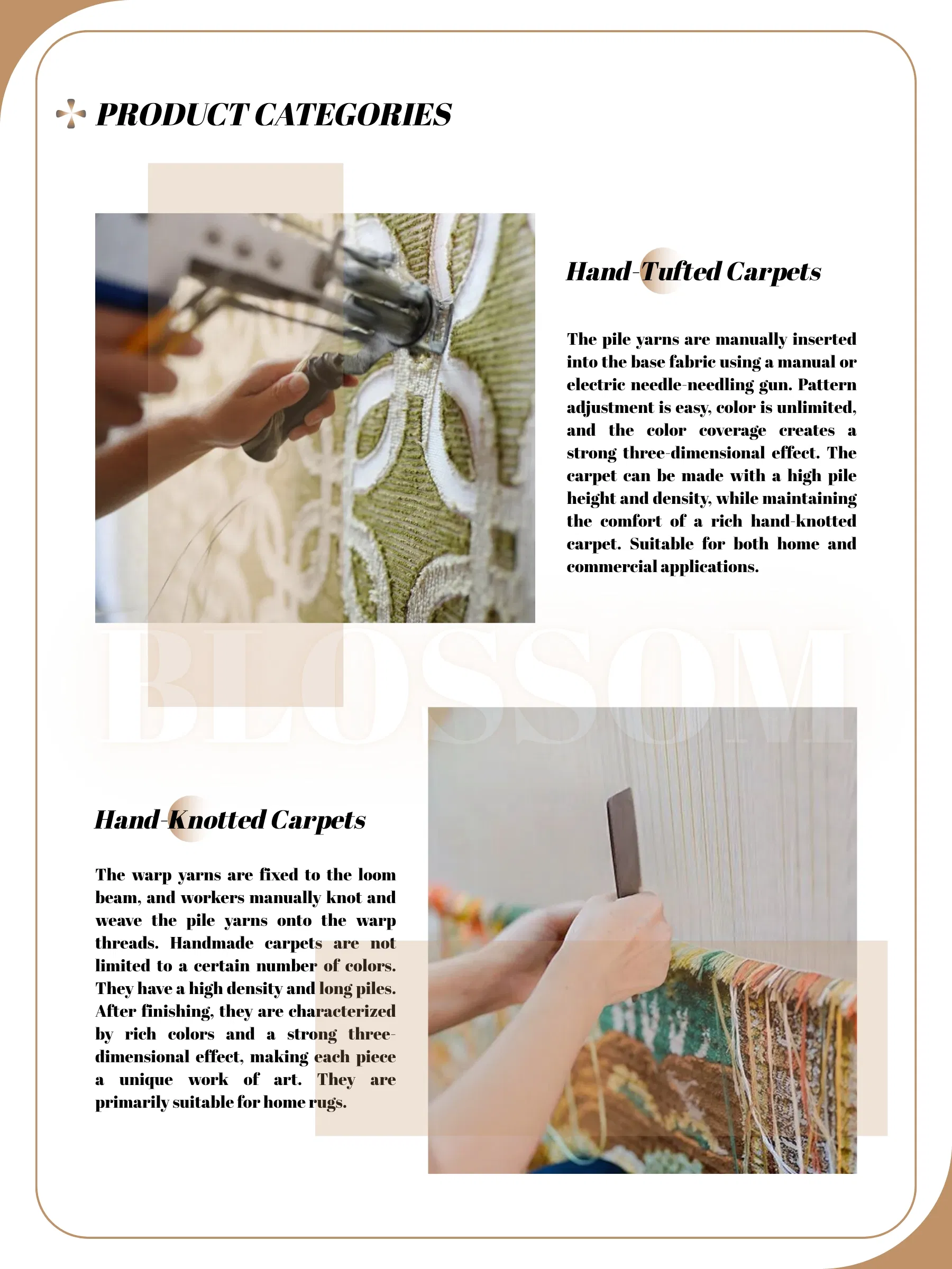 Carpet Advantages Display