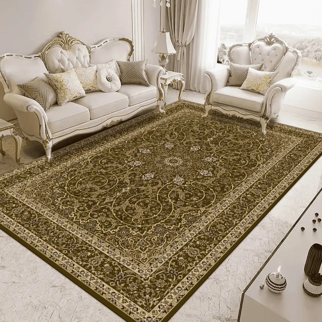 New Machine Washable Floor Carpet Rugs Vintage Persian Living Room Turkish Foldable Area Rug