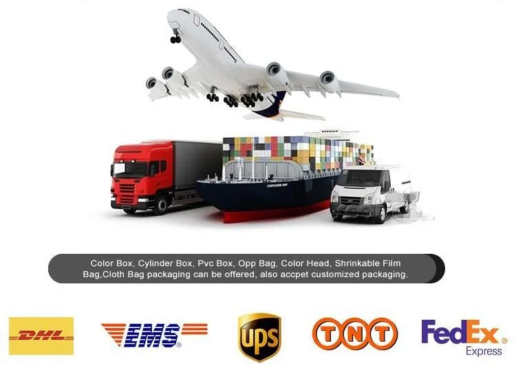 Packaging and Logistics