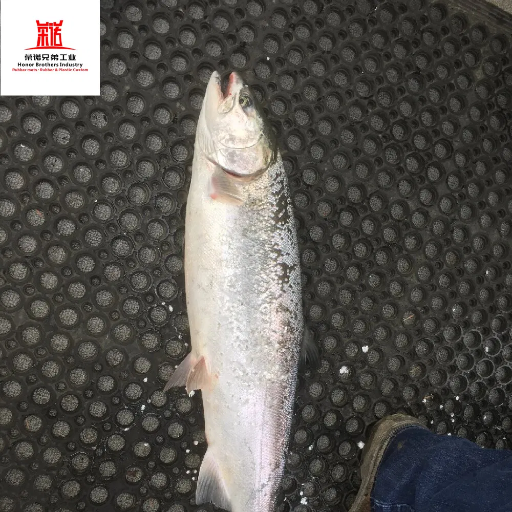 Outdoor Anti-Fatigue Non-Slip Interlocking Hollow Drainage Playground/Pool/Kitchen Safety Entrance Flooring, Porous Rubber Floor Mat