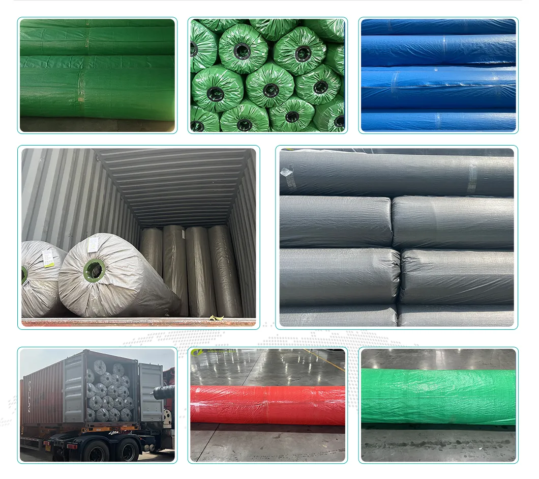 Packaging and Shipping