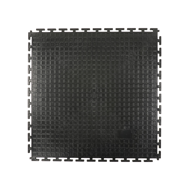 Selling at a Low Price Color Customization PVC Round Coin Pattern PVC Garage Floor Tile