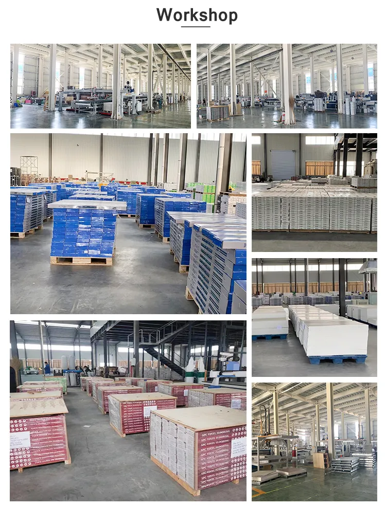 Shipping Preparation