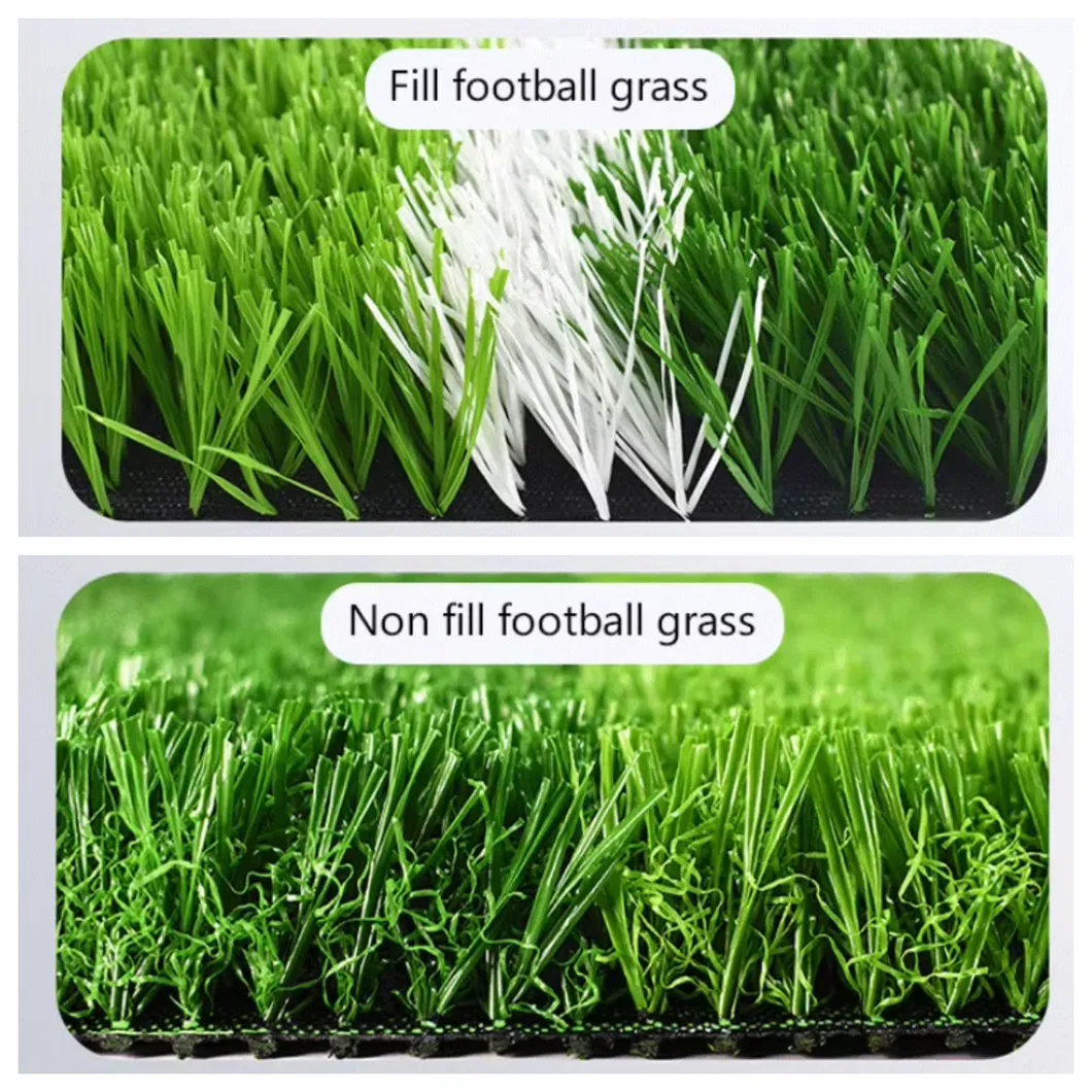 Sport Grass