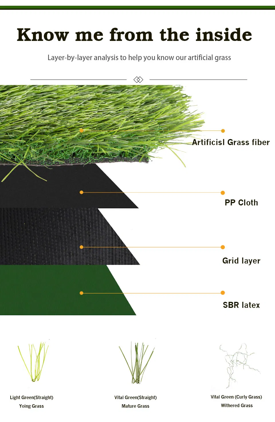 Artificial Grass Photo 3