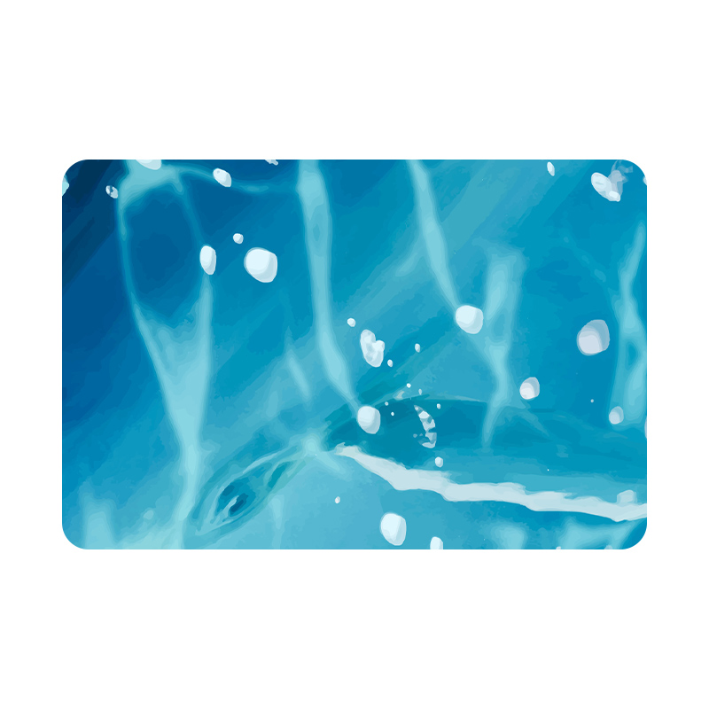 Anti Fatigue Quick Dry Water Absorbent Anti Slip Rubber Diatom Mud Kitchen Floor Door Mat