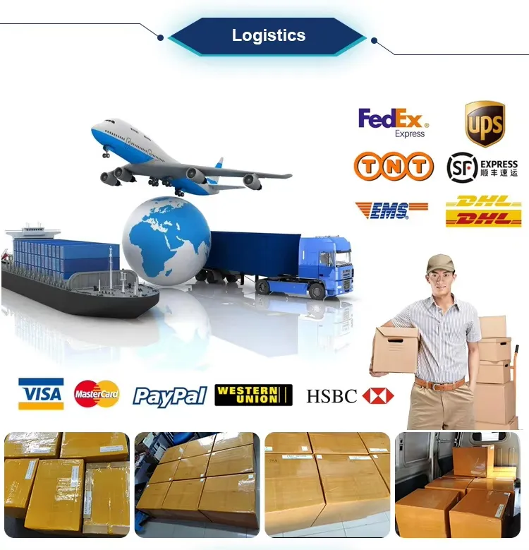 Shipping Logistics