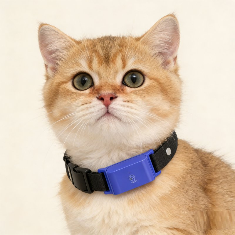 Pet GPS Tracker Collar Real Time Location Anti Lost Device